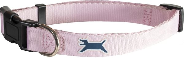 VI Swag Dog Collar - Medium/Large