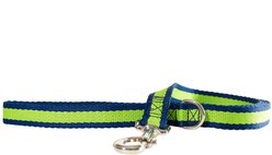 Wagberry Allure Dog Leash, Navy Blue/Green