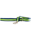Wagberry Allure Dog Leash, Navy Blue/Green