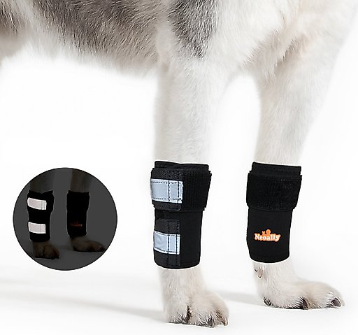 NeoAlly Front Leg Dog Brace, S/M, 2 count