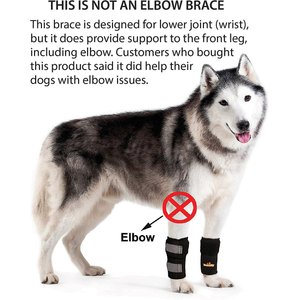 NeoAlly Front Leg Dog Brace, S/M, 2 count