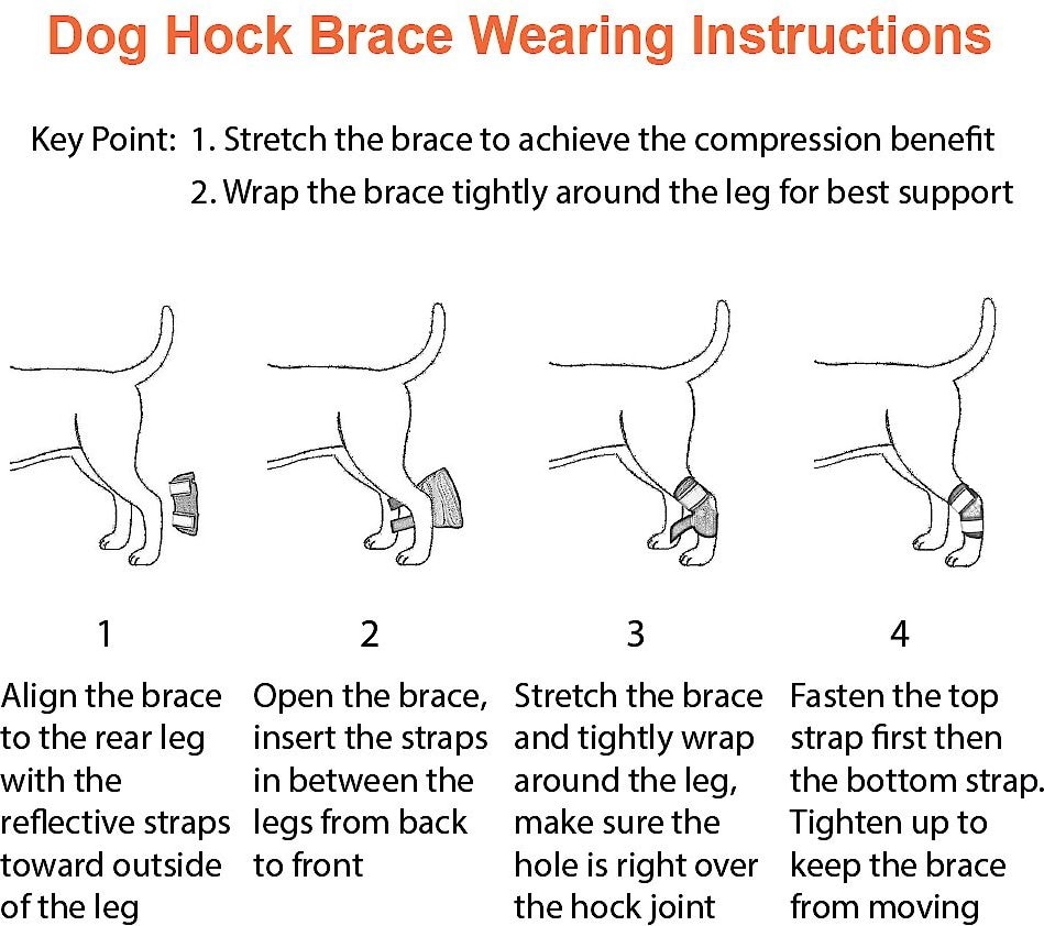NEOALLY Front Leg Dog Brace, S/M, 2 count 