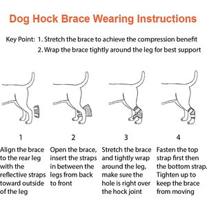NeoAlly Back Hock Dog Brace, Large, 2 count