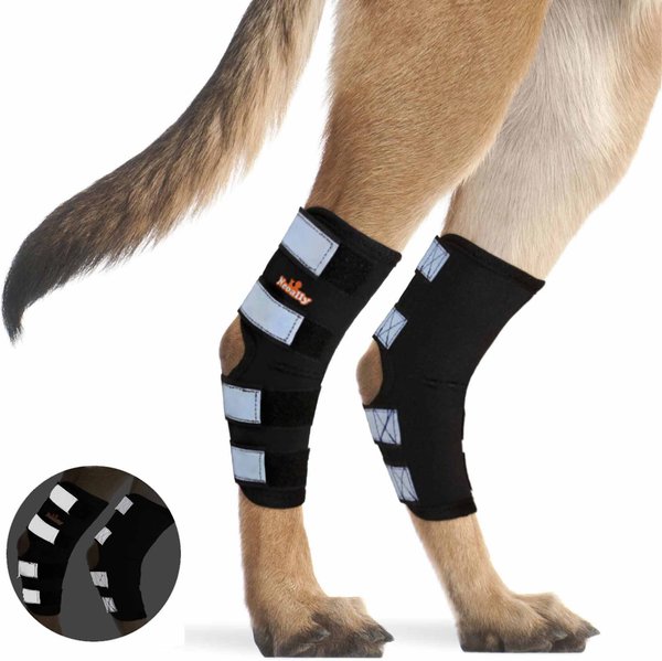 NeoAlly Rear Leg Dog Brace, X-Small slide 1 of 7