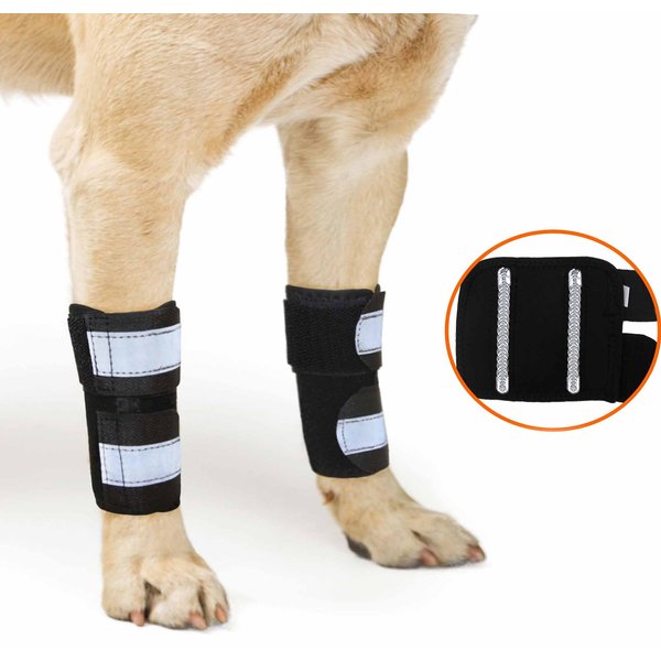 NEOALLY Front Leg Metal Spring Support Dog Brace, Small / Medium ...