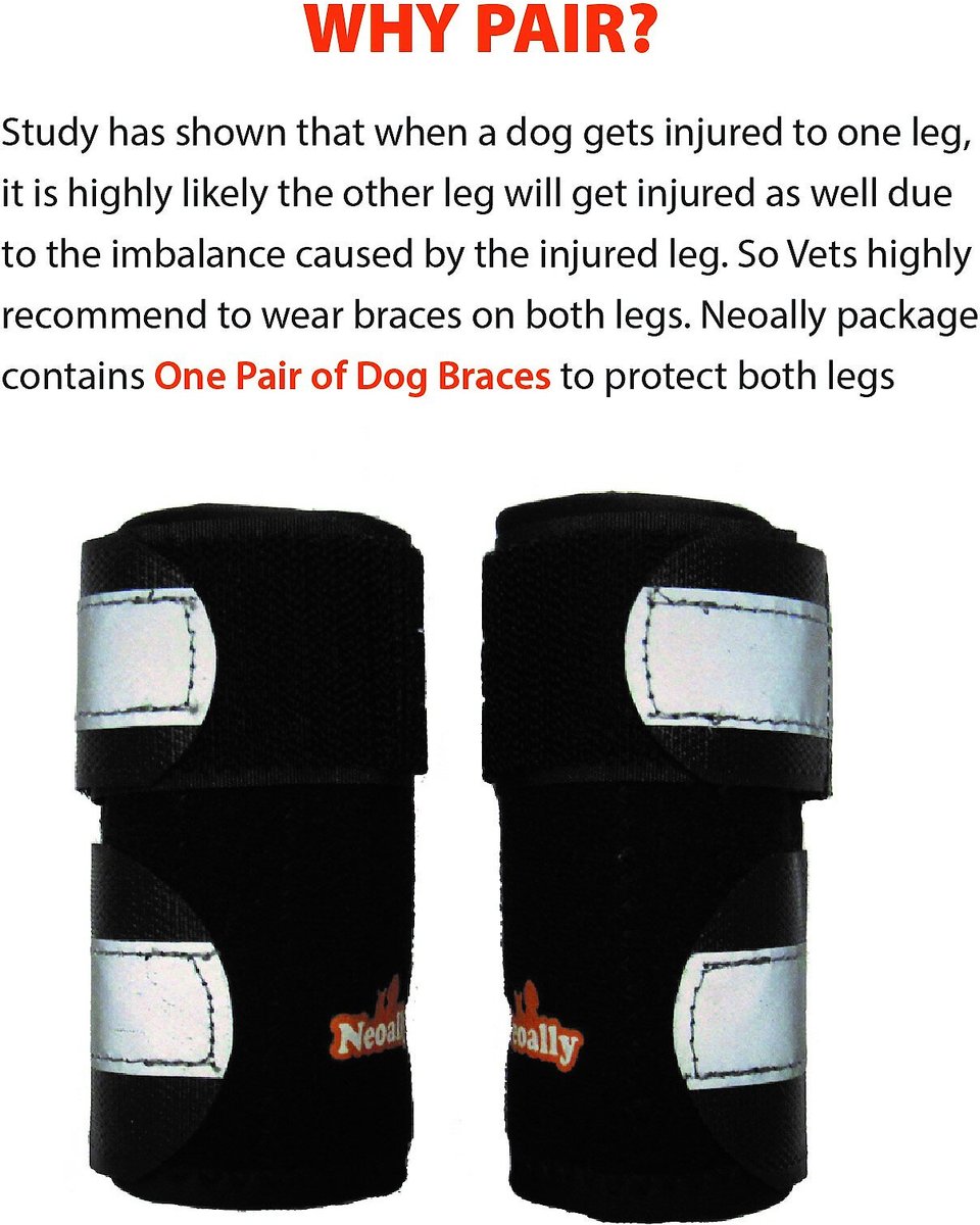 NEOALLY Rear Leg Metal Spring Support Dog Brace, 2 count, Medium