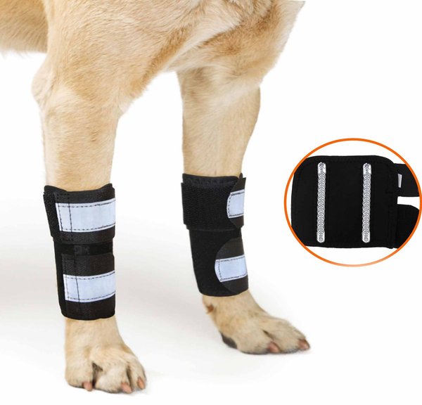 NeoAlly Front Leg Metal Spring Support Dog Brace, Large / X-Large slide 1 of 8