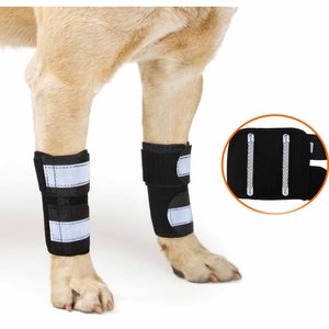 NeoAlly Front Leg Metal Spring Support Dog Brace, Large / X-Large
