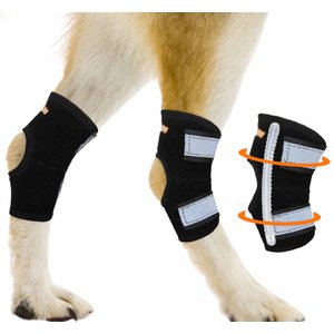 NeoAlly Dog Front Leg Brace with Reflective Straps - Metal Spring Inse –  Neoallypets