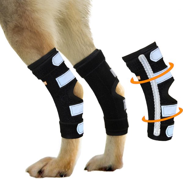 NEOALLY Rear Leg Metal Spring Support Dog Brace, 2 count, Medium 