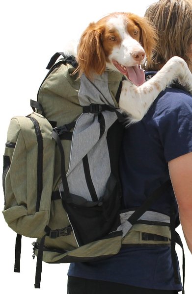 Chewy clearance dog backpack