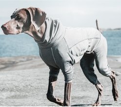 Hurtta Body Warmer Dog Bodysuit, Carbon Grey, 10S
