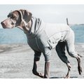 Hurtta Body Warmer Dog Bodysuit, Carbon Grey, 22L