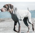 Hurtta Body Warmer Dog Bodysuit, Carbon Grey, 24M