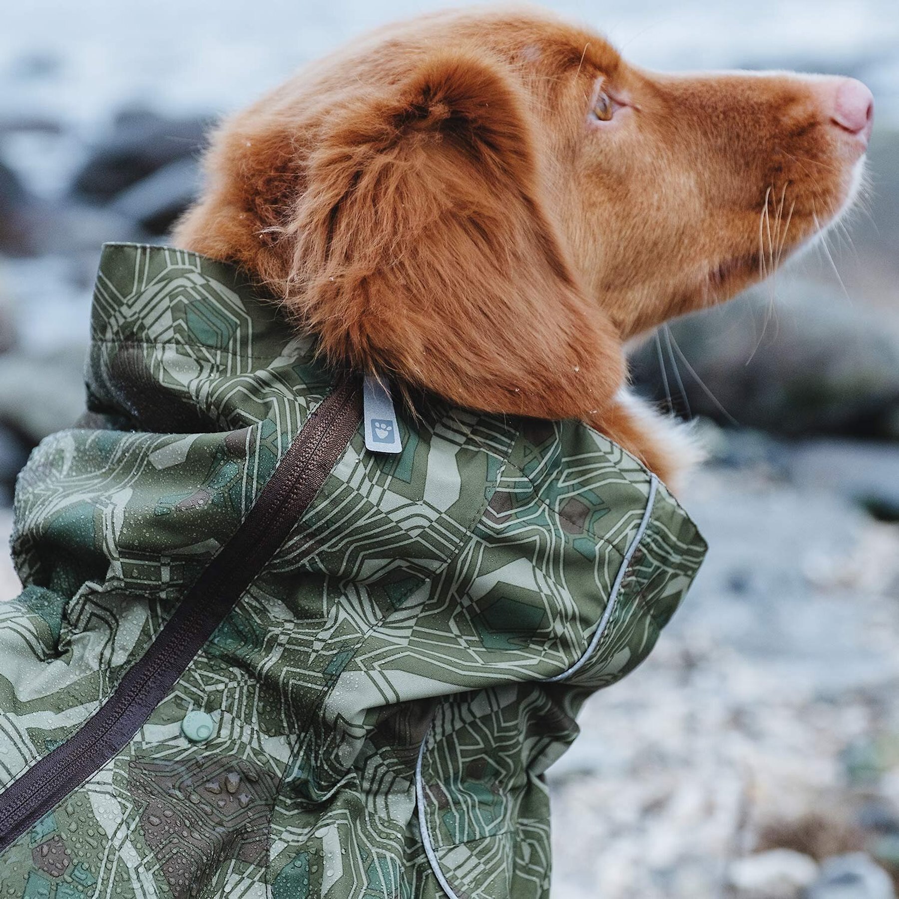 HURTTA Downpour Suit Weatherproof Rain & Snow Bug Repellant Dog