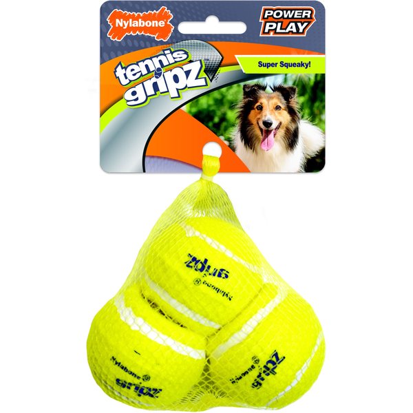 Hyper Pet™ Hyper Squawkers 3.5 Ball Dog Toy