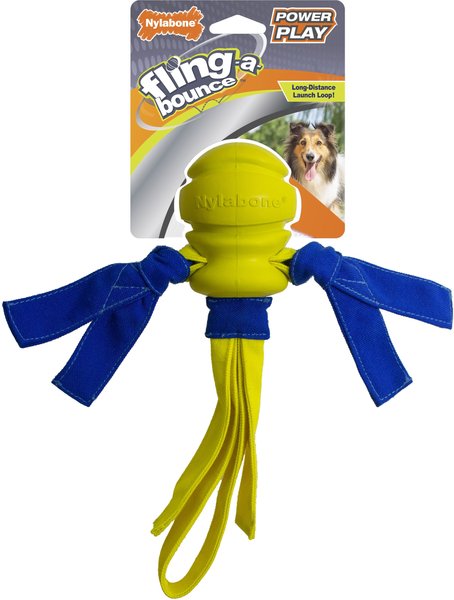 Nylabone Power Play Fling-a-Bounce Dog Fetch Toy, Medium slide 1 of 10