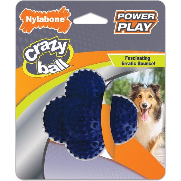Nylabone Power Play Crazy Ball Dog Toy