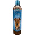 Bio-Groom Bronze Lustre Color Enhancer Dog Shampoo, 12-oz bottle