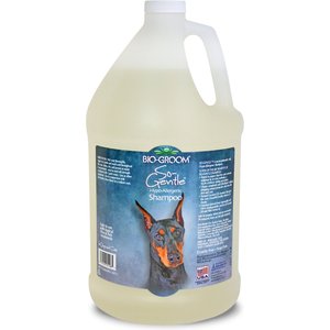 TROPICLEAN OxyMed Hypo-Allergenic Oatmeal Dog & Cat Shampoo, Unscented ...