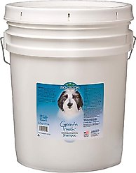 Bio-Groom Groom 'N Fresh Odor Eliminating Dog Shampoo, 5-gal pail