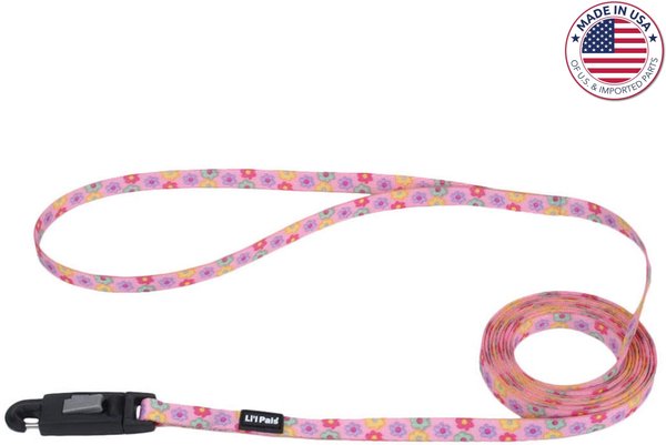 Chewy leashes outlet