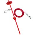 Titan Dome Stake & Dog Tie Out, Red, 15-ft