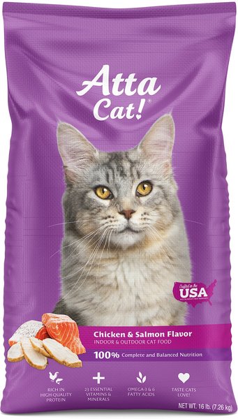 Atta Cat Chicken & Salmon Flavor Dry Cat Food, 16-lb bag slide 1 of 9