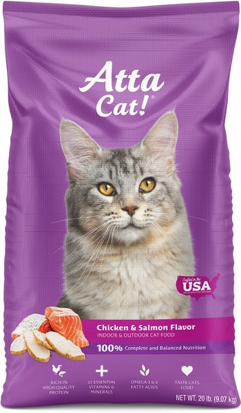 Atta Cat Chicken & Salmon Flavor Dry Cat Food, 20-lb bag slide 1 of 9