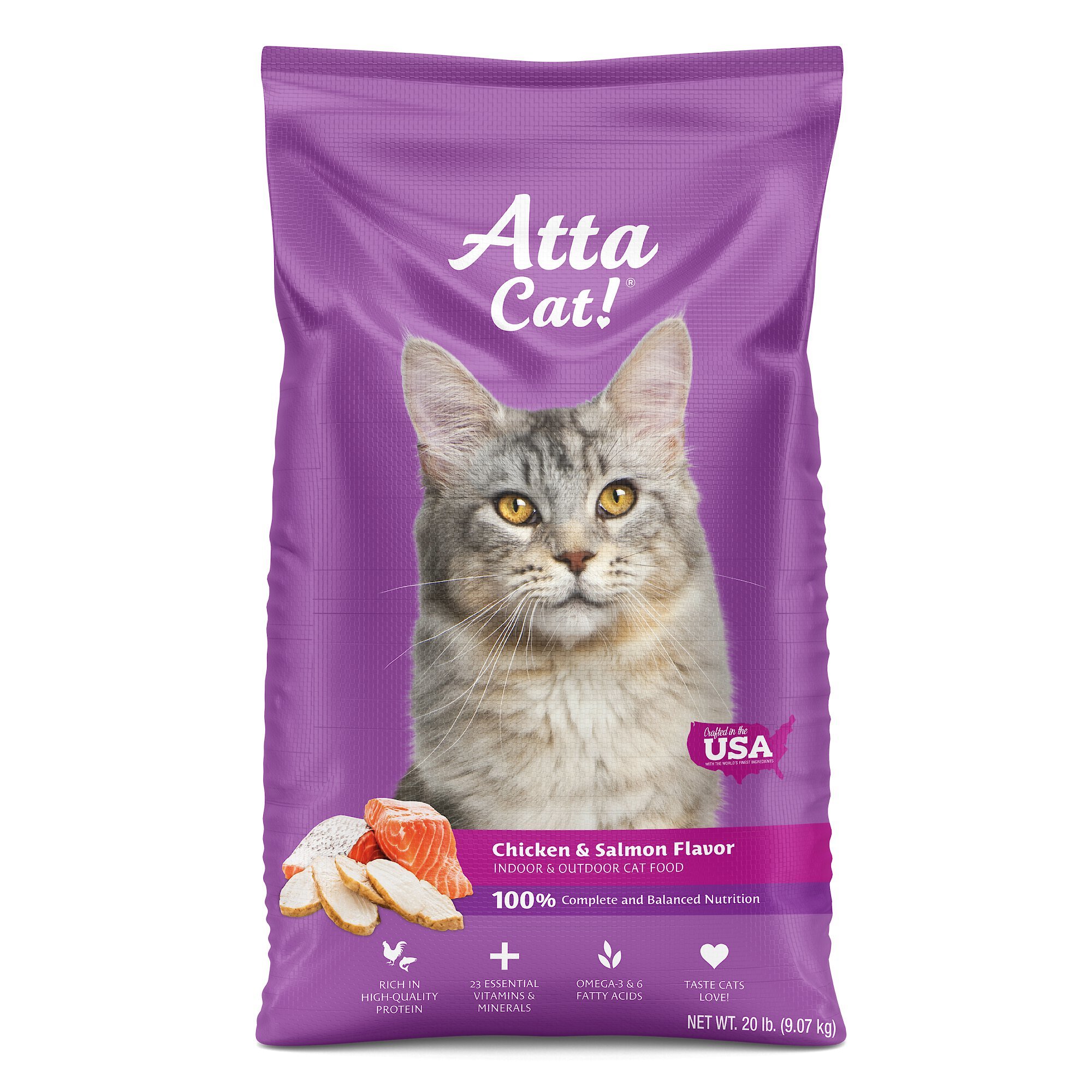 ATTA CAT Chicken Salmon Flavor Dry Cat Food reviews Chewy