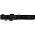 Zee.Dog Gotham Polyester Dog Collar, Small: 12.2 to 17-in neck, 3/5-in wide