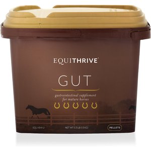 Equithrive GUT Digestive Health Pellets Horse Supplement, 3.3-lb tub
