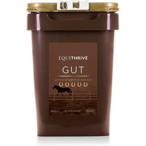 Equithrive GUT Digestive Health Pellets Horse Supplement, 10-lb tub