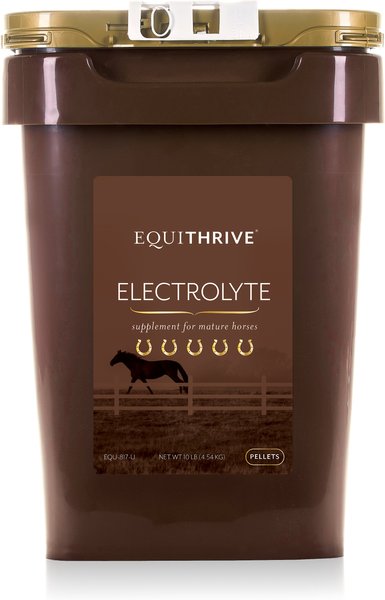 Equithrive Electrolyte Hay Flavor Pellets Horse Supplement, 10-lb tub slide 1 of 2