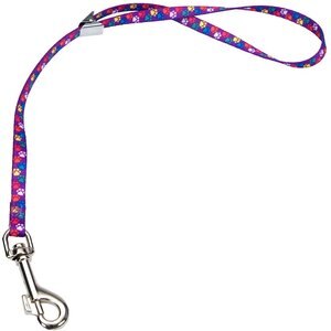 Coastal Pet Products Pet Attire Styles Adjustable Grooming Loop, Special Paws, 24-in