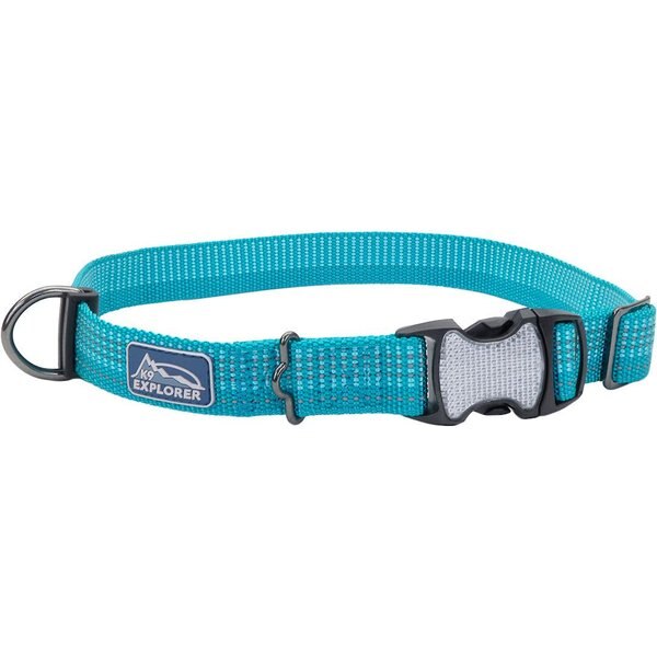 FRISCO Solid Nylon Martingale Dog Collar with Buckle, Blue, Small 14