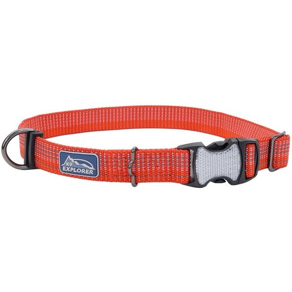 CARHARTT Lighted Dog Collar, Brown, Medium