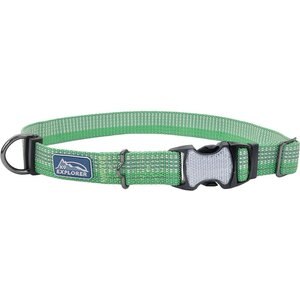 K9 Explorer Brights Reflective Dog Collar, Meadow, 10 to 14-in neck, 5/8-in wide