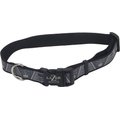 Lazer Brite Reflective Adjustable Dog Collar, Skulls & Crossbones, 12-18-in