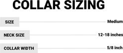 Lazer Brite Reflective Adjustable Dog Collar, Skulls & Crossbones, 12-18-in slide 2 of 2