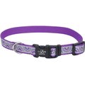 Lazer Brite Reflective Open-Design Adjustable Collar, Purple Daisy, 12-18-in