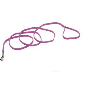 Sunburst Nylon Dog Leash, Orchid, 6-ft long, 3/8-in wide