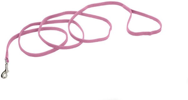 Sunburst Nylon Dog Leash, Pink Bright, 6-ft long, 3/8-in wide slide 1 of 1