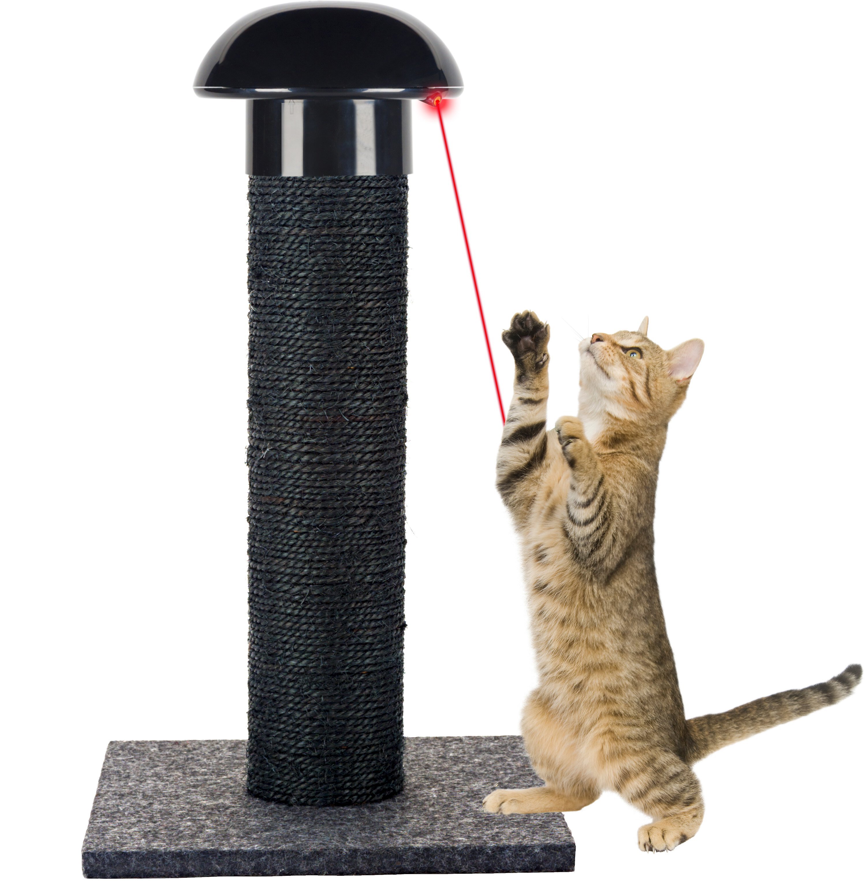 Can you use rechargeable batteries in this laser?