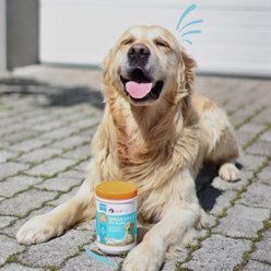 PointPet Omega 3, 6 & 9 Skin & Coat Dog Supplement, 120 count slide 2 of 9