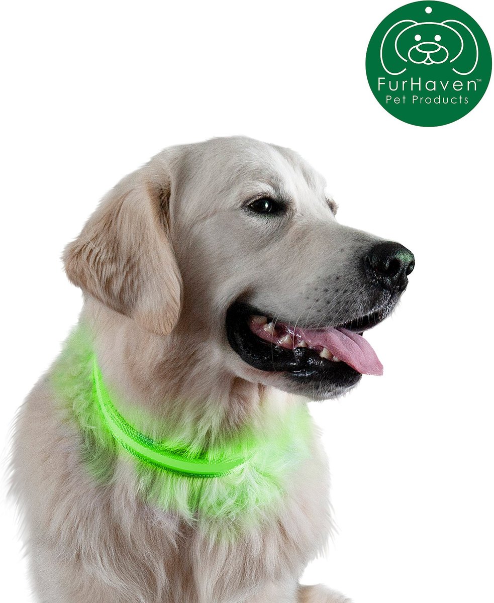 FurHaven LED Pet Leash Extender