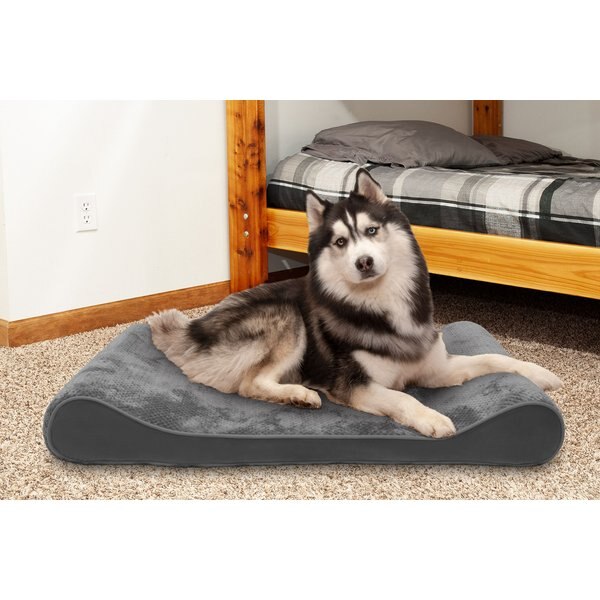 FURHAVEN Minky Plush Luxe Lounger Orthopedic Cat & Dog Bed with