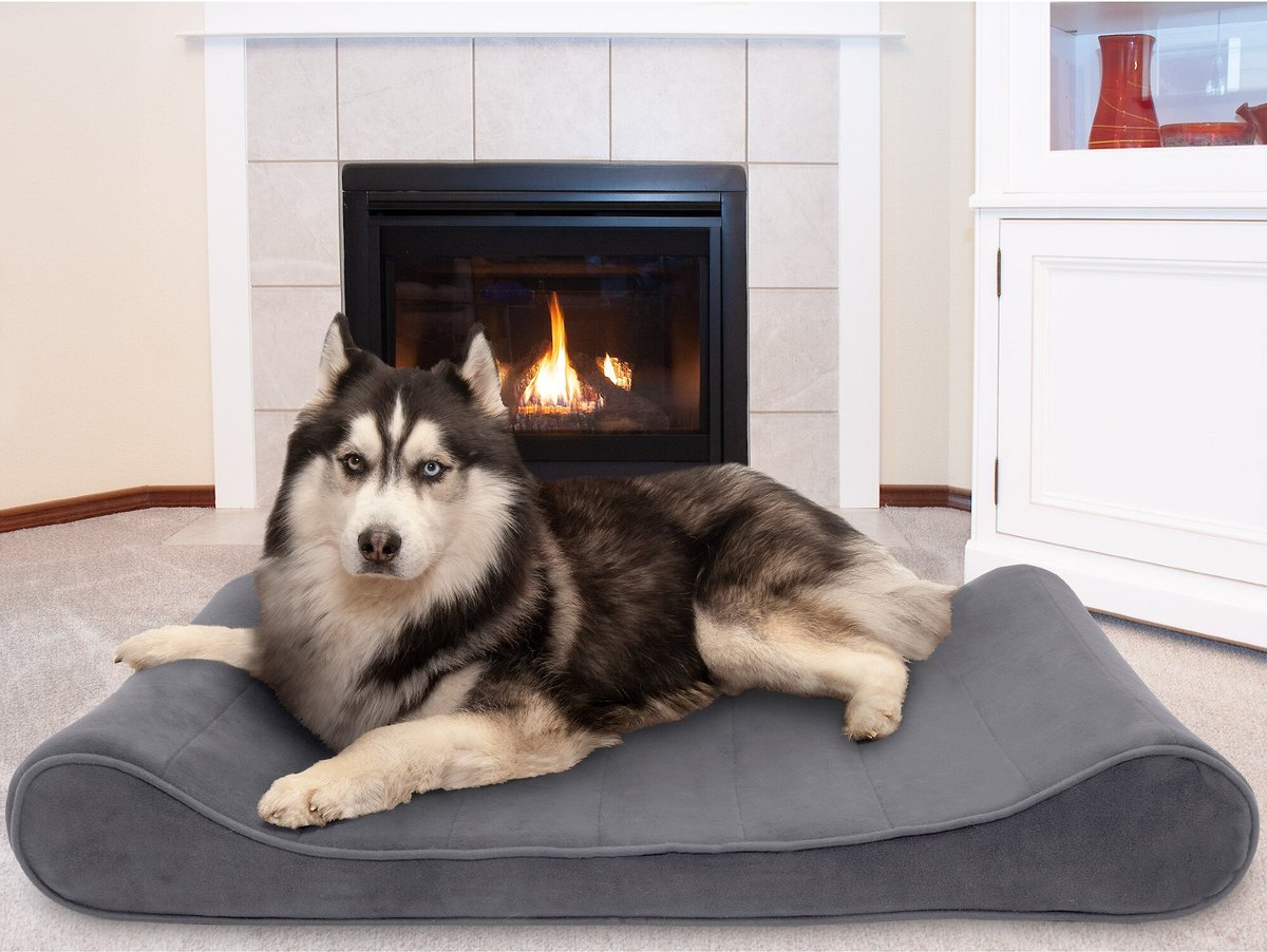 Gel hotsell dog bed