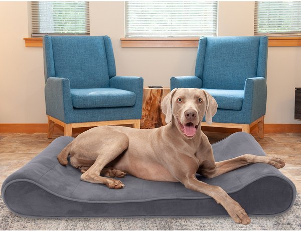 FurHaven Microvelvet Luxe Lounger Cooling Gel Dog Bed w/Removable Cover, Gray, Jumbo Plus slide 1 of 9