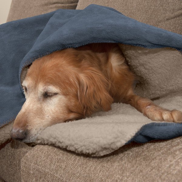 FurHaven Snuggly Warm Faux Lambswool & Terry Dog & Cat Throw Blanket, Cozy Denim, Large slide 1 of 5